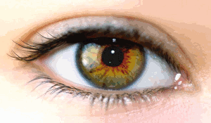 Des yeux